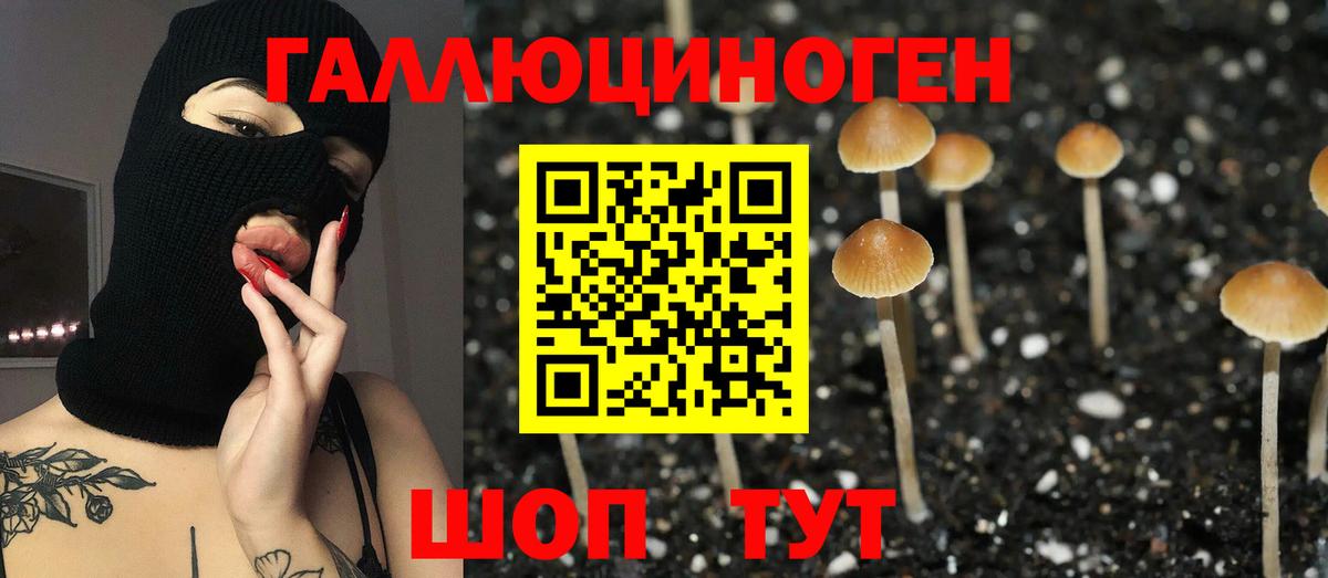 наркота  Вход с VPN  Ишим  Псилоцибиновые грибы MAGIC MUSHROOMS 
