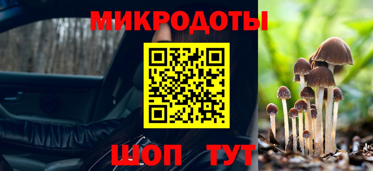 Галлюциногенные грибы прущие грибы Ишим